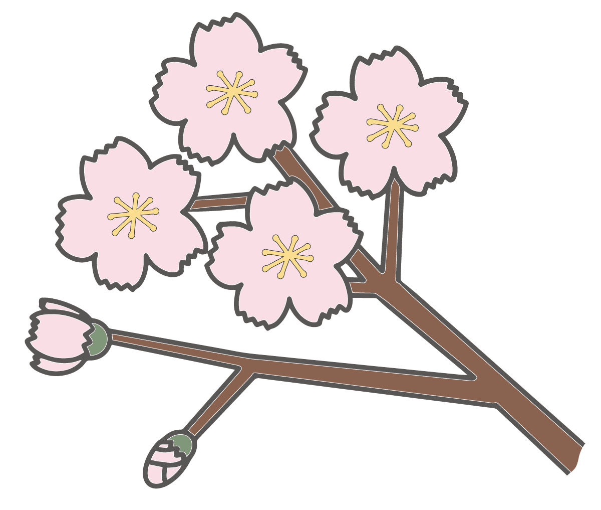 開いた桜の花とつぼみの無料イラスト 手書き風 かわいいフリー素材屋 いらすと係