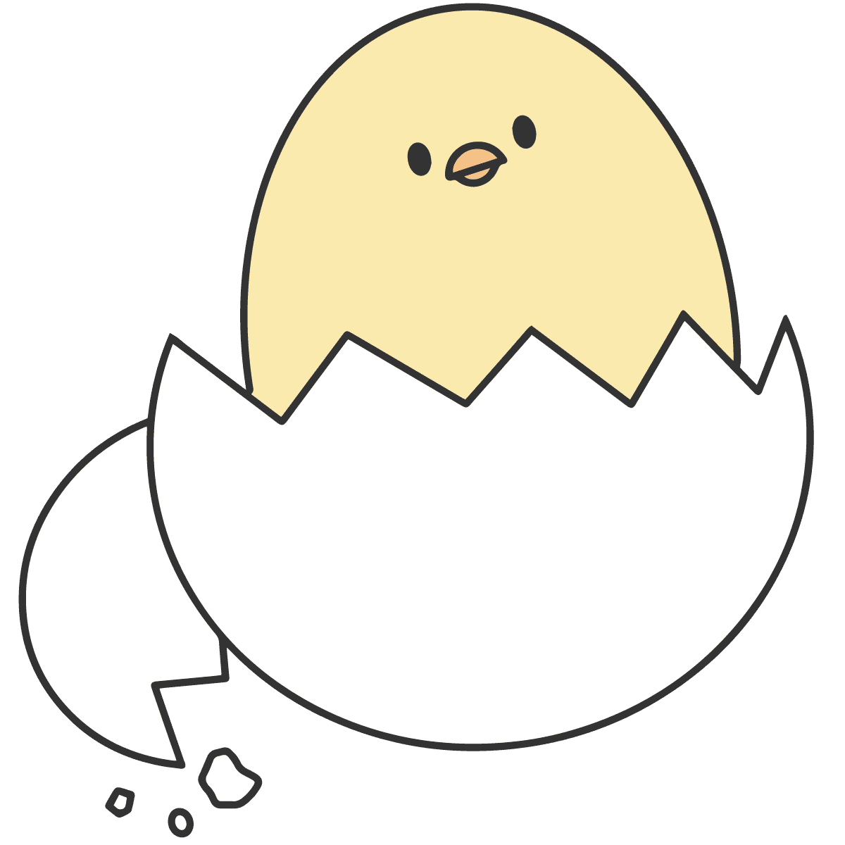 B5 手描きイラストプリント ひな ひよこ タマゴ ヒヨコ 卵 可愛い 癒し 絵 鳥 日本正規品 絵